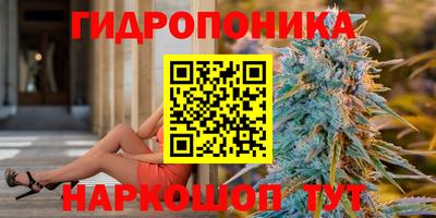 СК Пыть-Ях