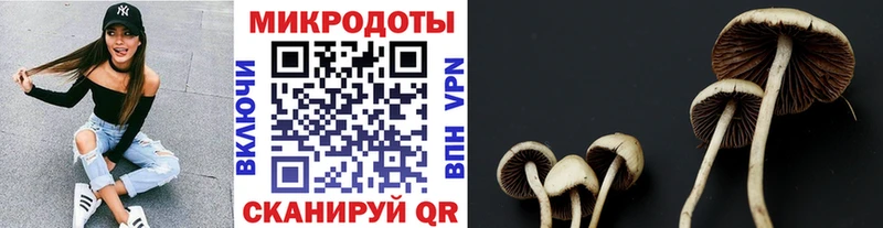 хочу наркоту  Черногорск  Галлюциногенные грибы мицелий 